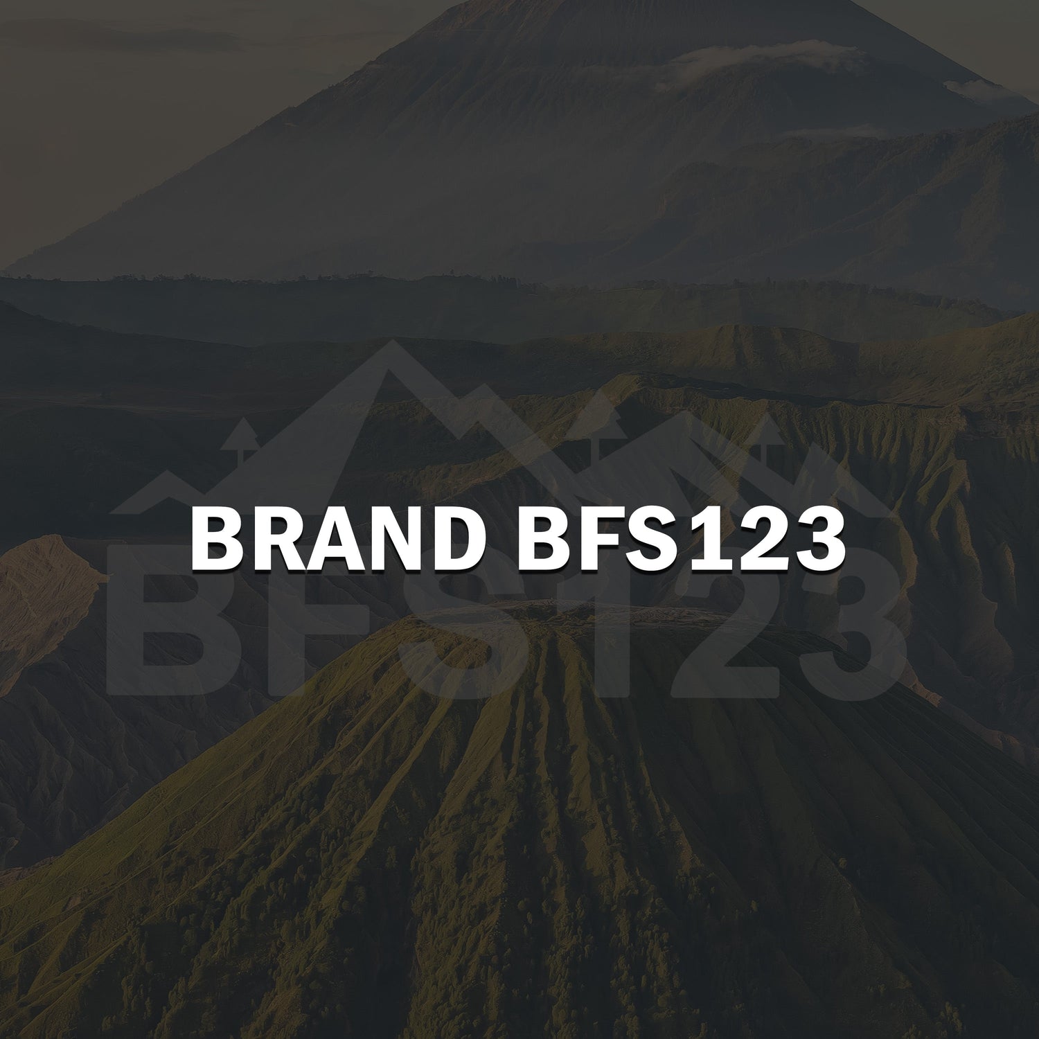 BFS123